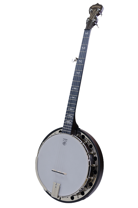 What Is the Best Beginner Bluegrass Banjo